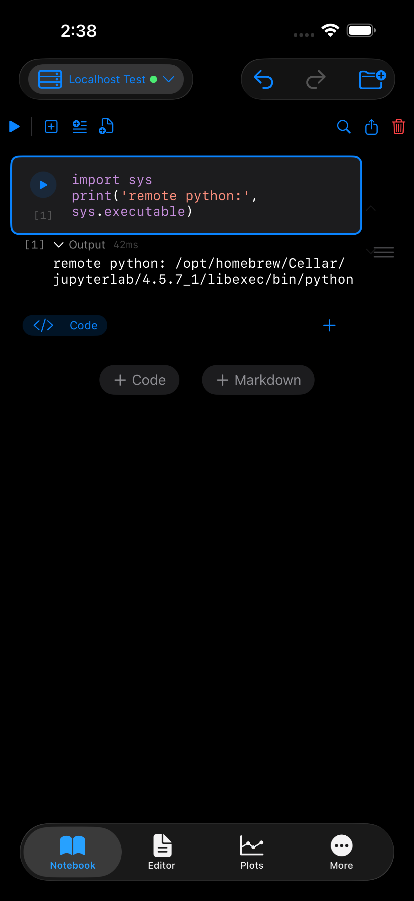 iPhone screenshot showing the Pyodios notebook with a green-dotted Localhost Test kernel picker, a code cell running import sys and printing sys.executable, and the output line showing the remote homebrew Python path.